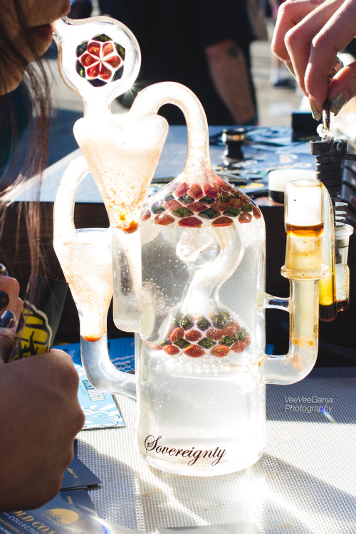 veeveeganja: Dabs on the Sovereignty at HTCC 2015