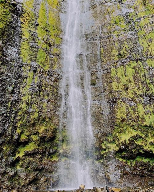 Waterfall in the Pipiwai Trail at Haleakala National Park. #adventureisoutthere #adventure #outdoors