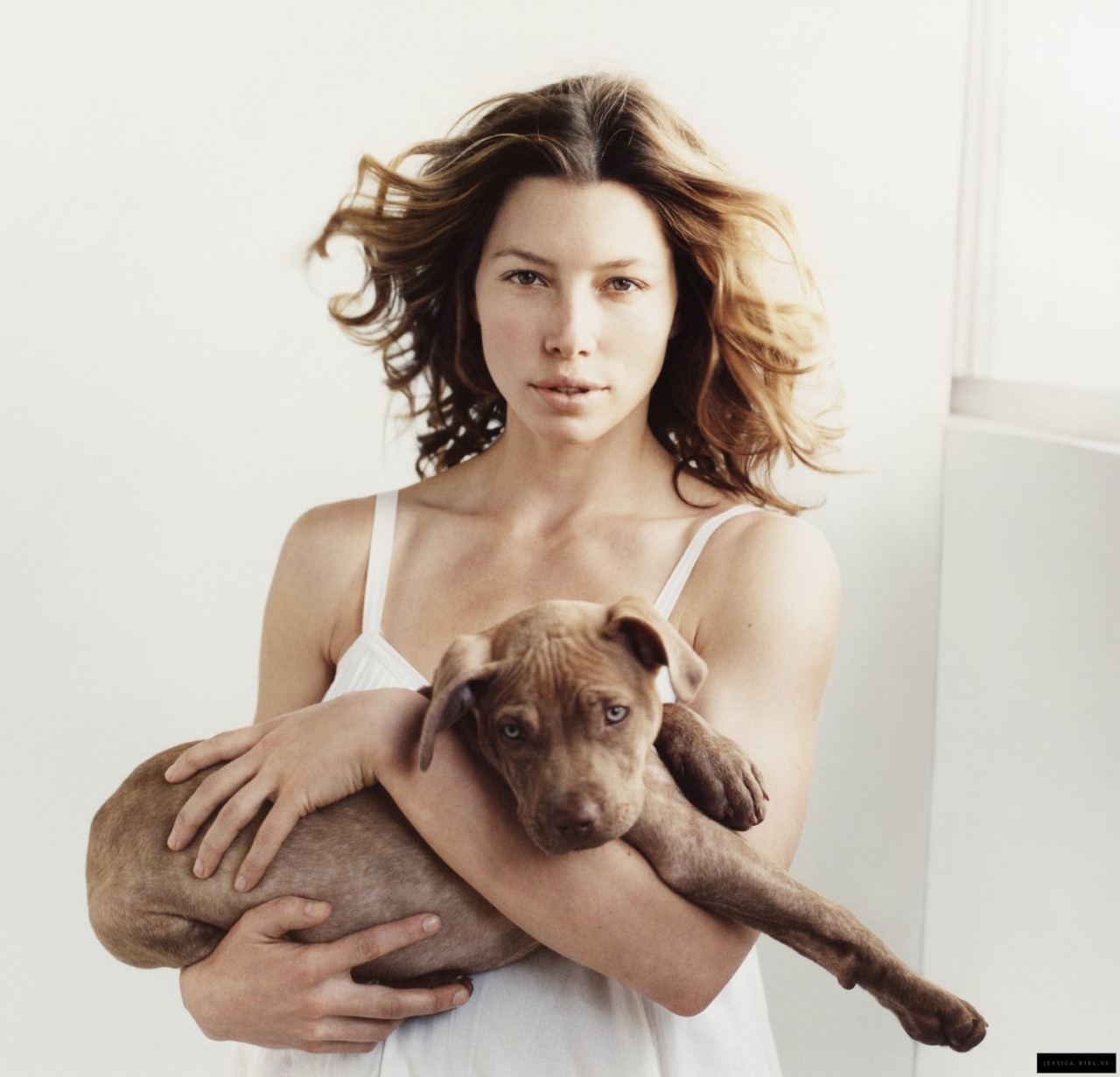 Jessica Biel taking her dogs to photoshoot:  


🐶 East for “Fade In” (2005) 🐶 Tavy for “People” (2007) 🐶 Tina for “Glamour uk”...