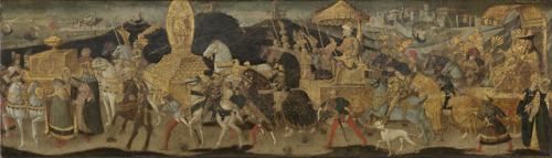 Front panel of a cassone with a picture of the procession with Darius, king of Persia, before the Ba