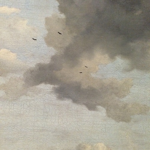 plantables: cloudy day, cloudy paintings