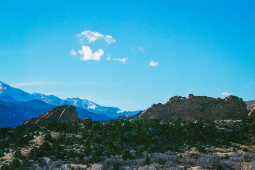 3v4ngrayphoto:Garden of the Gods, ColoradoShot on 35mm Kodak Portra 400 film