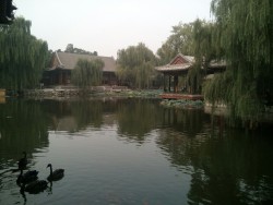 adapto:  Summer Palace @ Beijing 