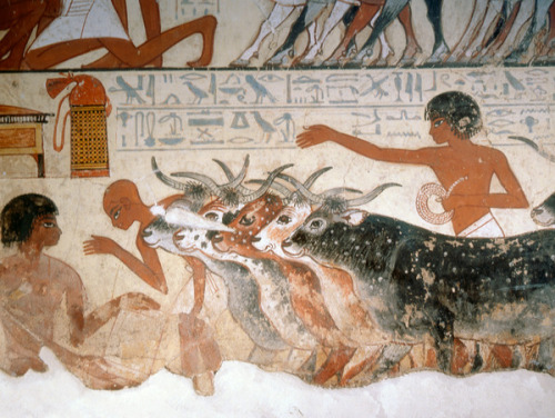 grandegyptianmuseum:A fragment of a painting from the tomb of Nebamun. British Museum, London.