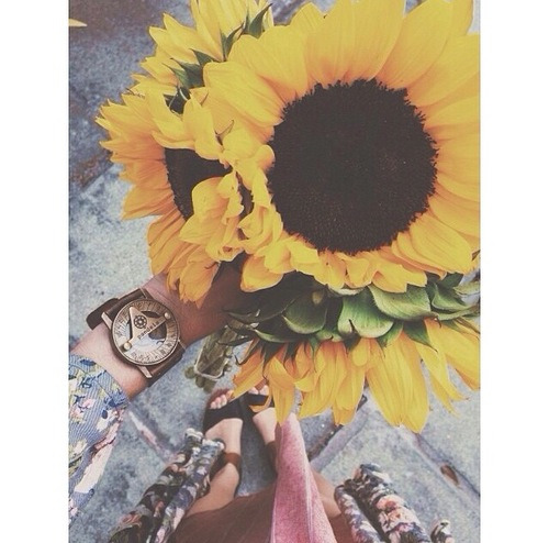 bambi-lady:  🌼💜 