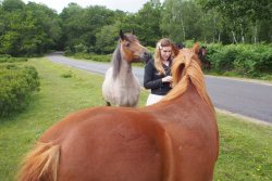 alexinspankingland:  The first time that Paul took me to meet some ponies (on my birthday last July) I met an adorable baby. &lt;3