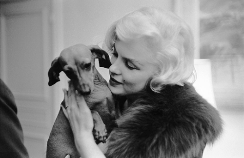 missmonroes:Marilyn Monroe at the French Consulate in New York to receive the French Crystal Star Award 1959