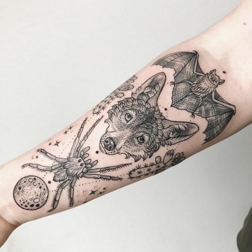 Desert forearms for Utah - life in the moonlight, death in the sun’s rays - coyote, bat, tarantula, 