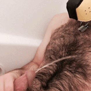 pupbustermackenzie:  alright i’ll admit it. piss pup. 💛💦💛💦💛