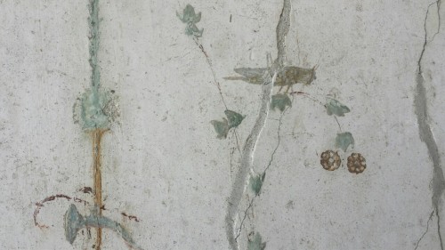 diogenesthesassmaster:Examples of 3rd style frescoes from the Villa of Poppaea, Oplontis (town near 