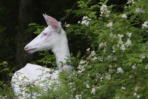 You’re positively pale, dear.