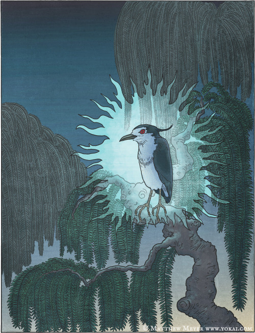 The Aosagibi is a heron-like Yokai found in Japan. The Aosagibi is described as a Black-Crowned Nigh