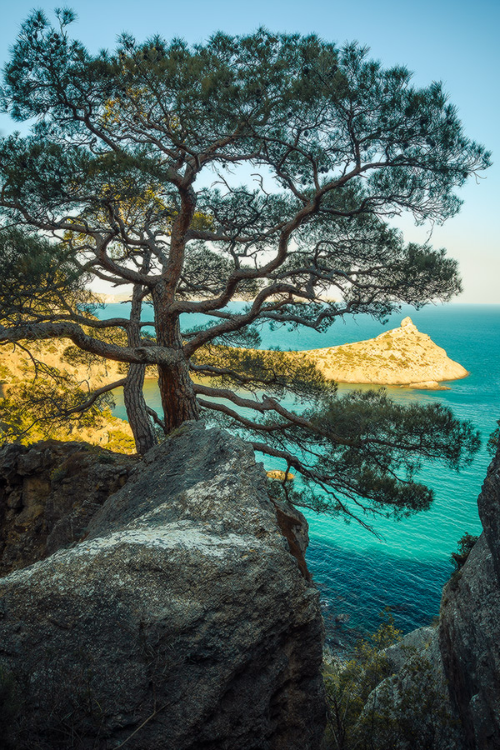 expressions-of-nature:  Untitled | Jaroslav Tyurmenko