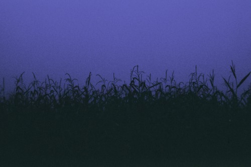 samanthamuljat:Blue Fog/Tristesse County.