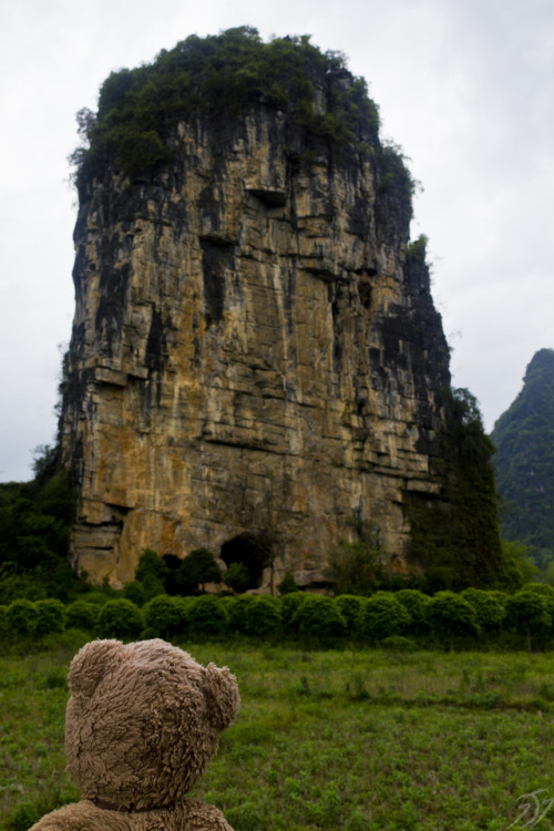 adventureswithteddy:Teddy takes a moment to enjoy the Karst mountains of south east China. Through f