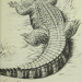 antiqueanimals:Black Jack, Last of the Big Alligators. Illustrated by Lloyd Sandford. 1991.