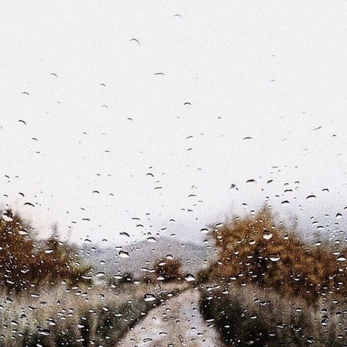 The Smell Of It. The Sound Of It. The Feel Of It. Rain Is Everything. 🌧