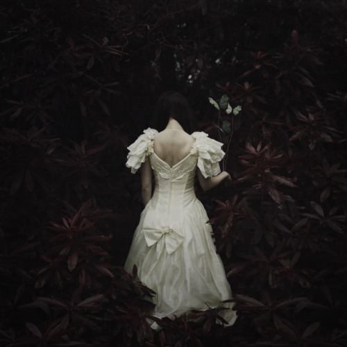 stephaniepearlphotography:Help me to your home, small creatures whom I fear. I left my heart in the forest and the dark is drawing near.