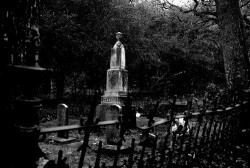 Scavenger of Human Sorrow