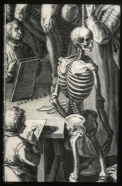 harvardfineartslib: Skeletons have always been popular in art schools. Meet Mr. Skeleton from a 1578