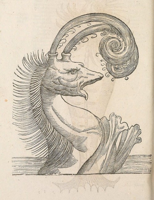 smithsonianlibraries: Some illustrations of monsters from  the 1642 book Vlyssis Aldrouandi pat