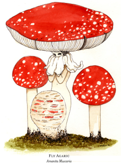 glittertomb:  Mushroom Pieces by Eveline Tarunadjaja, one of my absolute favorites