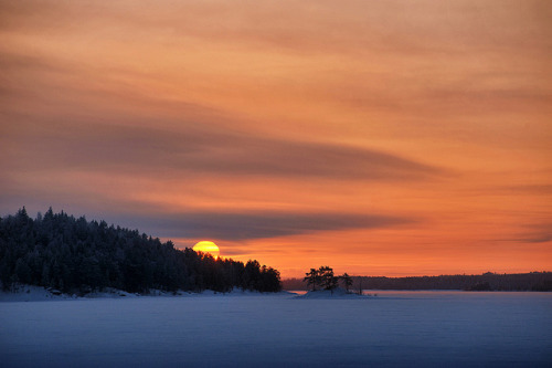 forbiddenforrest:  The Star by Antti-Jussi Liikala on Flickr.