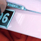 darksideofthemoon007:halinacrown:official-canadianjesus:roman-sunshine:  Beetles compromise 25% of all animal species. That means 1 in 4 animals is probably a beetle. Is it you? Is it your best friend? How can you be sure?  Ringo could be living in your