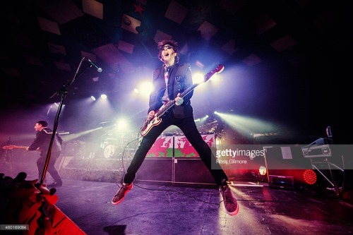 dogwithhat:Some great leggy pics of Nicky in Glasgow 08/12/14 by Ross Gilmore 