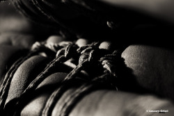 bondageisnotacrimeparis:  Aftermath en clair-obscur  Shibari / Photo : Amaury Grisel Tumblr model : Tallulah avec Amaury Grisel et Amaury Grisel. Ropes by Place des cordes 