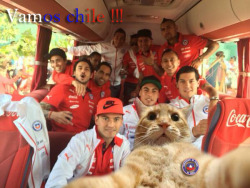 jaidefinichon:  Vamos chile ! nos juimos xD