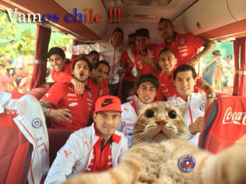 jaidefinichon:  Vamos chile ! nos juimos xD