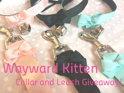 waywardkittenshop:~Wayward Kitten’s Collar and Leash Giveaway!~Win a thin unruffled collar and match