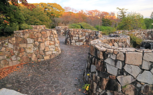 万博記念公園 / Expo'70 Commemorative Park. - Nov. 12, 2015