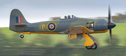 sea fury