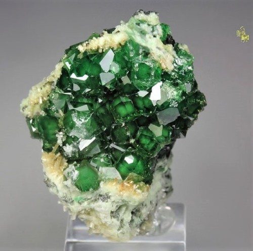 bijoux-et-mineraux:Chromian Grossular, Diopside and Clinochlore - Jeffrey mine, Asbestos, Les Source