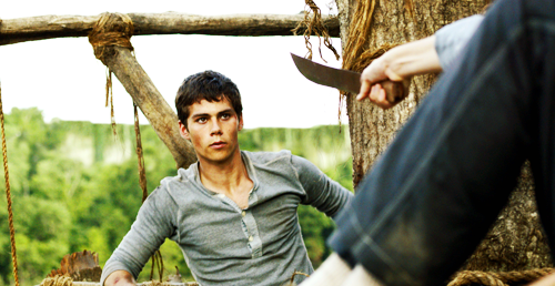 thescorchtrialsnews:New stills from The Maze Runner [x]