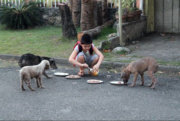 angelclark:  Curious Father Finds Out His Son Secretly Tends Starving Dogs http://noarmycanstopanidea.com/curious-father-finds-out-his-son-secretly-tends-starving-dogs/