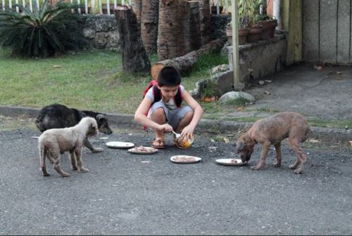 angelclark:  Curious Father Finds Out His Son Secretly Tends Starving Dogs http://noarmycanstopanidea.com/curious-father-finds-out-his-son-secretly-tends-starving-dogs/ A curious father was left stunned after discovering where his young son was going