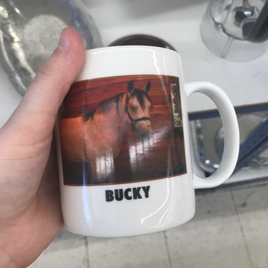Sex shiftythrifting:  bucky pictures