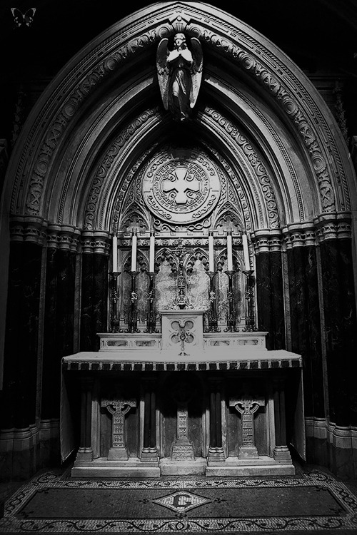  The Church of St. Catherine of Siena - New York City my other edits here … Ƹ̴Ӂ̴Ʒ 