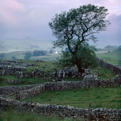 bonitavista:  Winskill, Cumbria, Englandphoto via nickolai