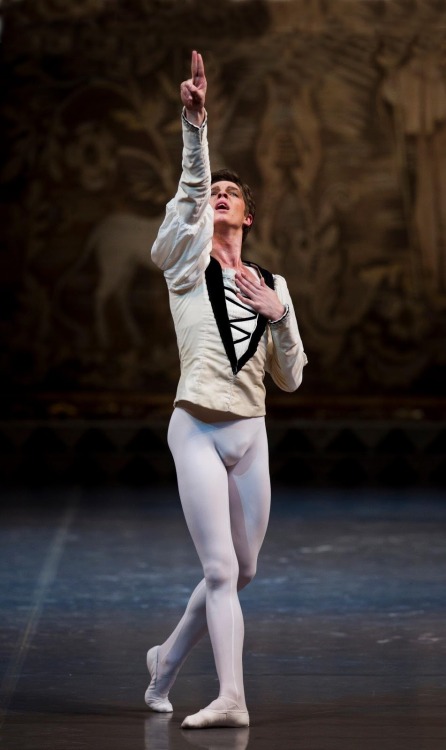 Viktor Lebedev - Swan Lake - Photo Stas Levshin