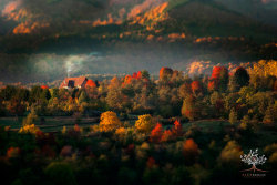love-nationalism:  Transylvania, photographed by Alec Robciuc. 