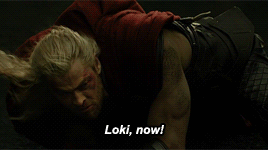 daughter-of-ophelia:  thor is not stupid 2k15  