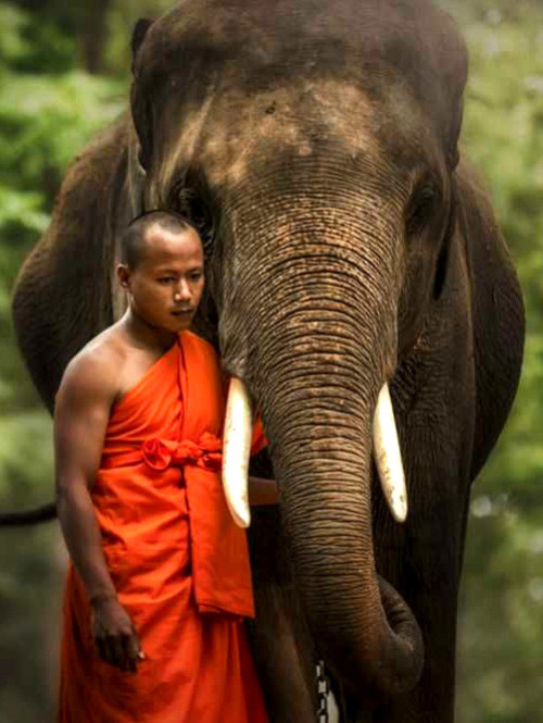 "Self Is Thy Master. How Can Others Be Your Master? If You Are Well Attuned To Yourself, You Will Become
