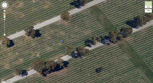 filmap:Harold and MaudeHal Ashby. 1971CemeteryNational Cemetery, Sneath Lane, San Bruno, CA 94066See