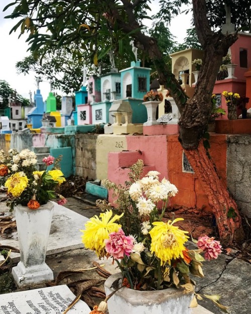 Cementerio General, encuentro de almas y familias, la vida y la muerte. Vestida de colores… #