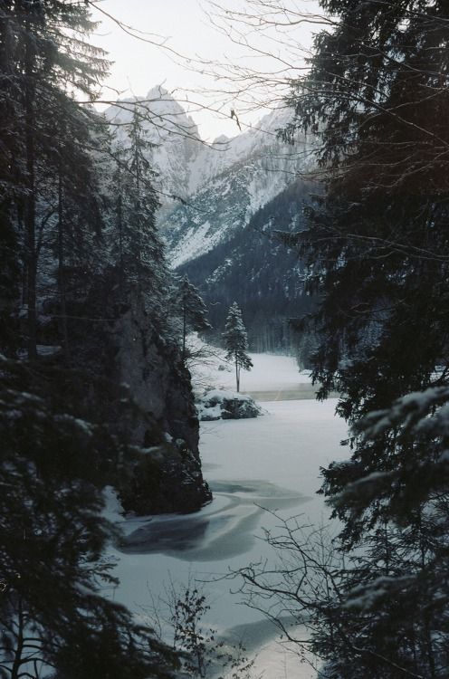 vhaelenleycrest:  Blood in the Snow…   DISLIKE!  *squints*  Best not be dying