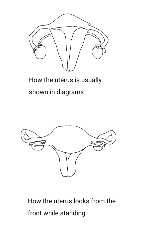 Something I Learned Today!
